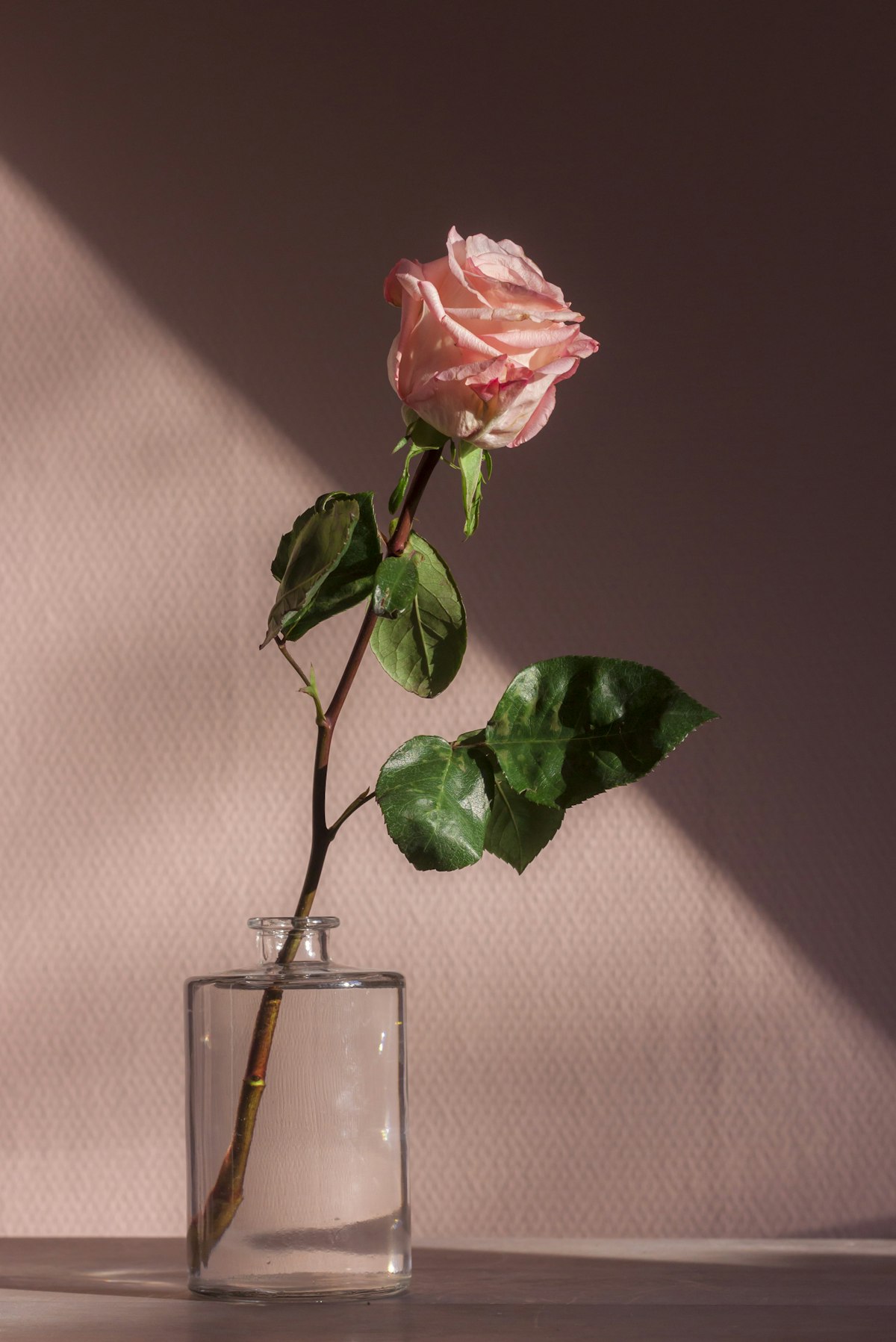 Roses poudrées, renoncules et feuillage léger.
